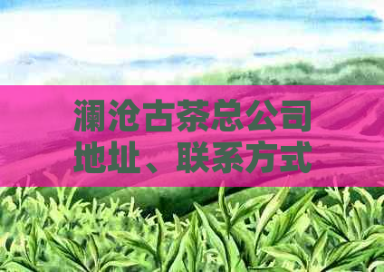 澜沧古茶总公司地址、联系方式及营业时间全面解析，帮助您轻松找到！