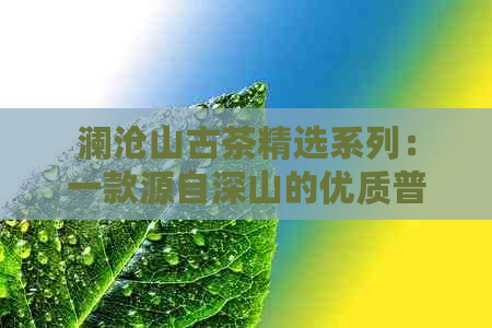 澜沧山古茶精选系列：一款源自深山的优质普洱茶品鉴