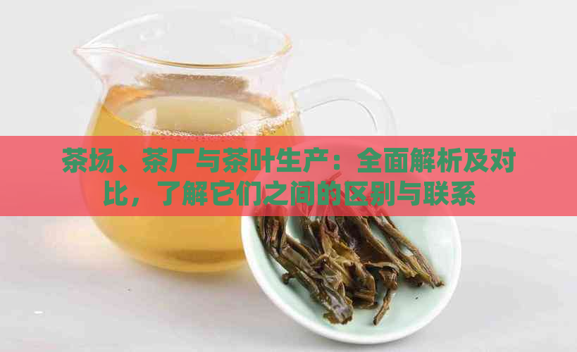 茶场、茶厂与茶叶生产：全面解析及对比，了解它们之间的区别与联系