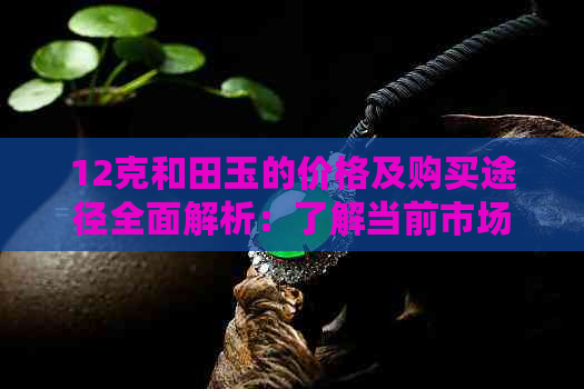 12克和田玉的价格及购买途径全面解析：了解当前市场行情与购买建议