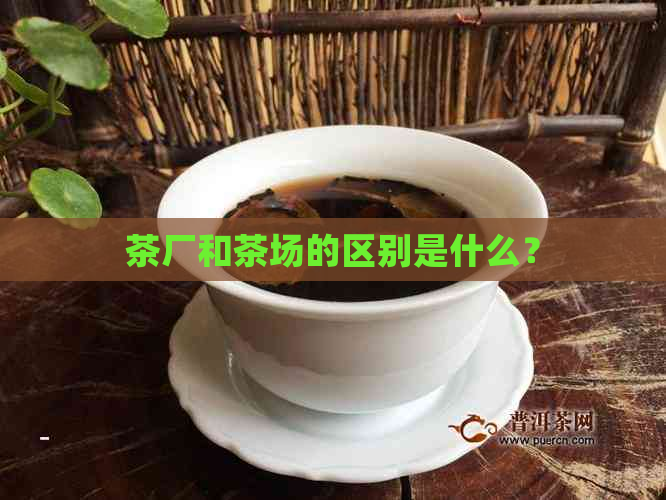 茶厂和茶场的区别是什么？