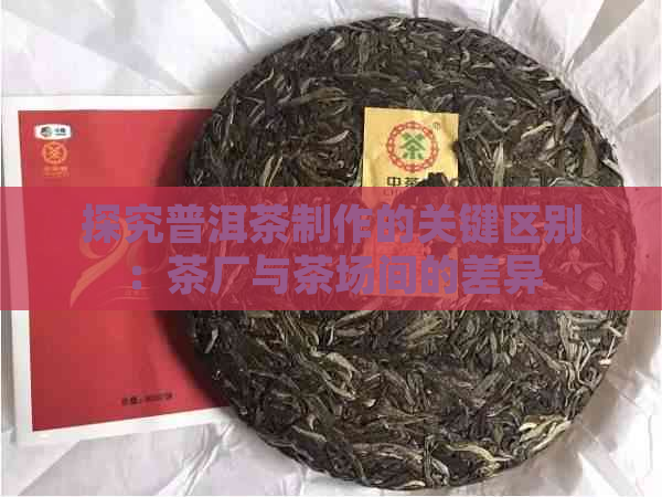 探究普洱茶制作的关键区别：茶厂与茶场间的差异