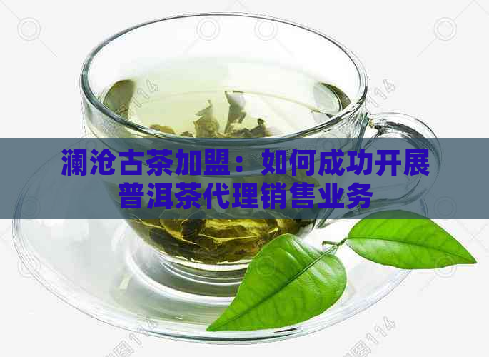 澜沧古茶加盟：如何成功开展普洱茶代理销售业务