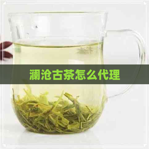 澜沧古茶怎么代理