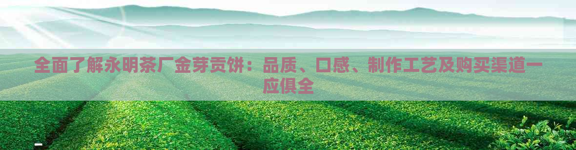 全面了解永明茶厂金芽贡饼：品质、口感、制作工艺及购买渠道一应俱全