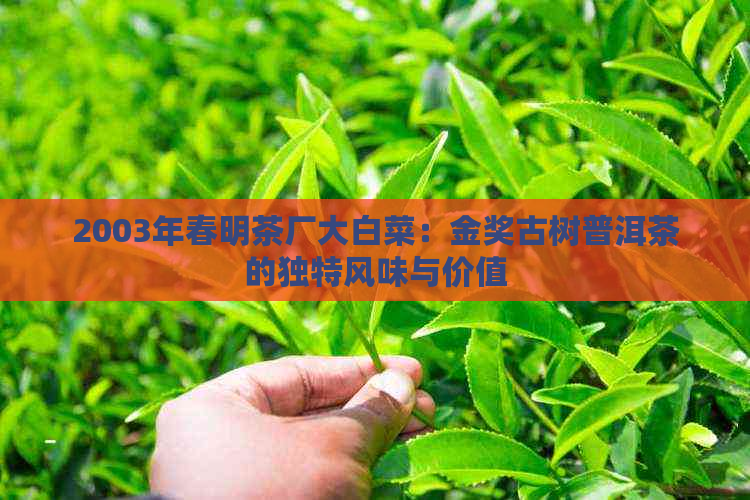 2003年春明茶厂大白菜：金奖古树普洱茶的独特风味与价值