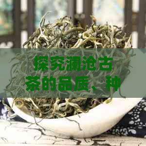 探究澜沧古茶的品质、种类及其独特魅力：一篇全面指南