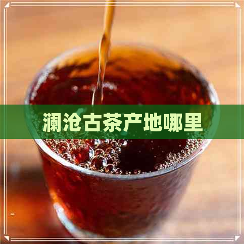 澜沧古茶产地哪里