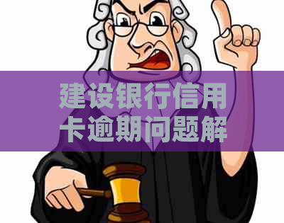 建设银行信用卡逾期问题解决全攻略：协商分期还款详细指南