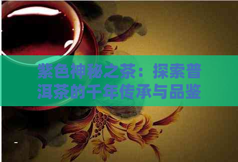 紫色神秘之茶：探索普洱茶的千年传承与品鉴之道