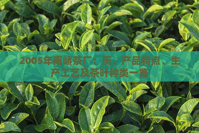 2005年南峤茶厂：历、产品特点、生产工艺及茶叶种类一览