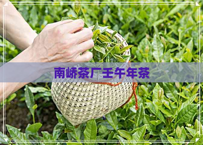 南峤茶厂壬午年茶