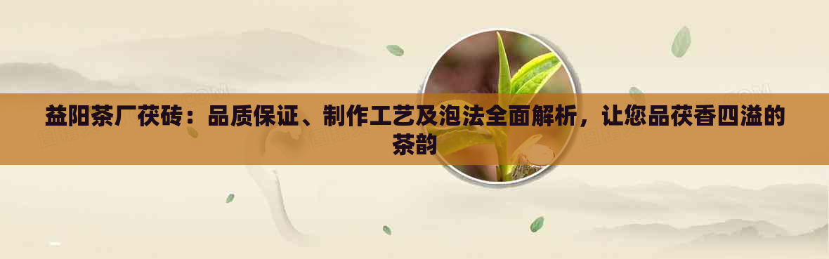 益阳茶厂茯砖：品质保证、制作工艺及泡法全面解析，让您品茯香四溢的茶韵