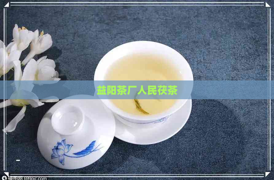 益阳茶厂人民茯茶