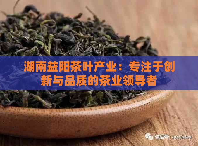 湖南益阳茶叶产业：专注于创新与品质的茶业领导者