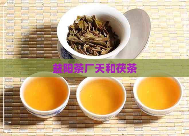 益阳茶厂天和茯茶