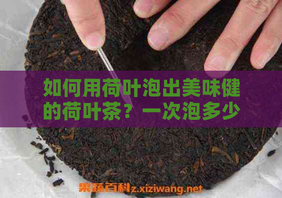 如何用荷叶泡出美味健的荷叶茶？一次泡多少克？