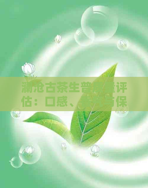 澜沧古茶生普质量评估：口感、香气与保存方法一应俱全，助您挑选优质茶叶