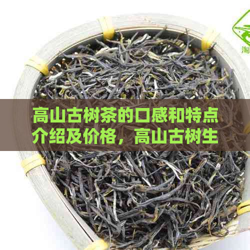 高山古树茶的口感和特点介绍及价格，高山古树生茶详解