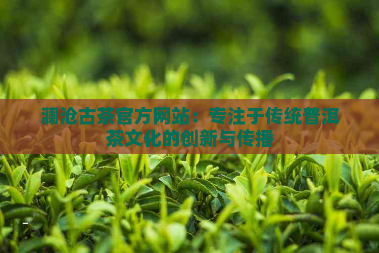 澜沧古茶官方网站：专注于传统普洱茶文化的创新与传播