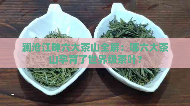 澜沧江畔六大茶山全解：哪六大茶山孕育了世界级茶叶？