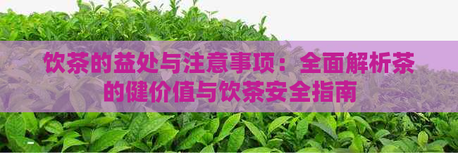 饮茶的益处与注意事项：全面解析茶的健价值与饮茶安全指南