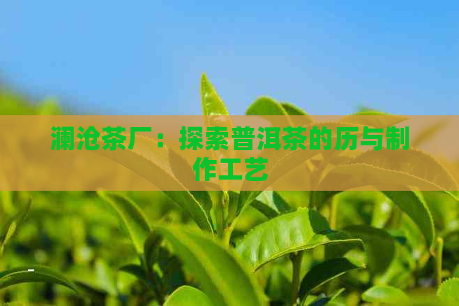 澜沧茶厂：探索普洱茶的历与制作工艺