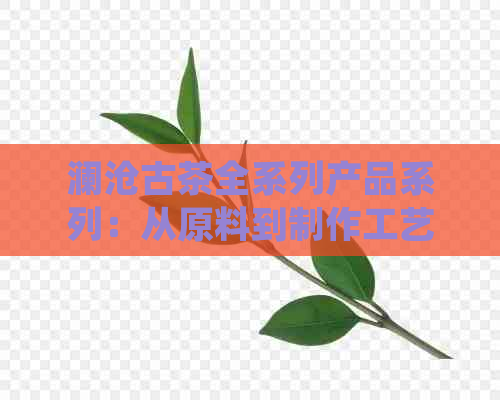 澜沧古茶全系列产品系列：从原料到制作工艺，品尝体验全方位解析