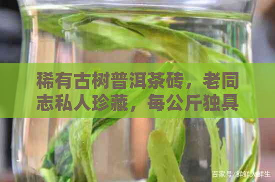 稀有古树普洱茶砖，老同志私人珍藏，每公斤独具匠心，重历味道