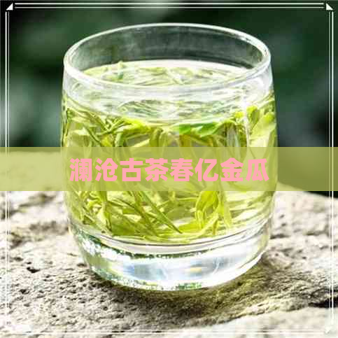 澜沧古茶春亿金瓜