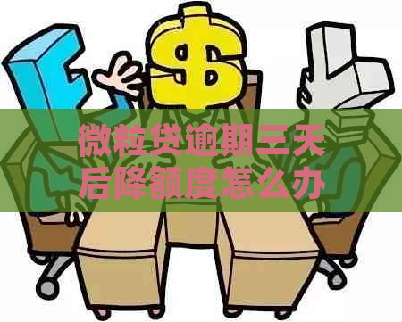 微粒贷逾期三天后降额度怎么办理：处理建议与复借可能性