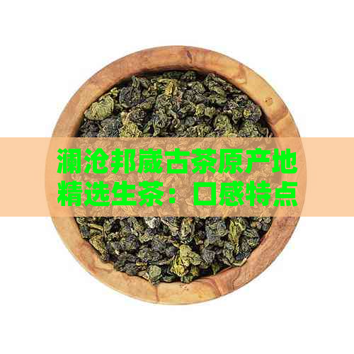 澜沧邦崴古茶原产地精选生茶：口感特点与普洱茶的区别