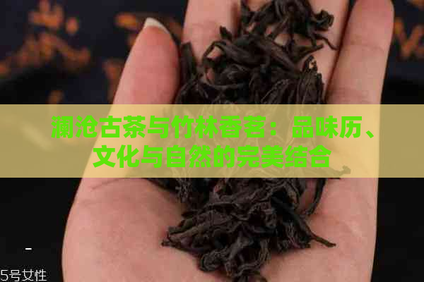 澜沧古茶与竹林香茗：品味历、文化与自然的完美结合