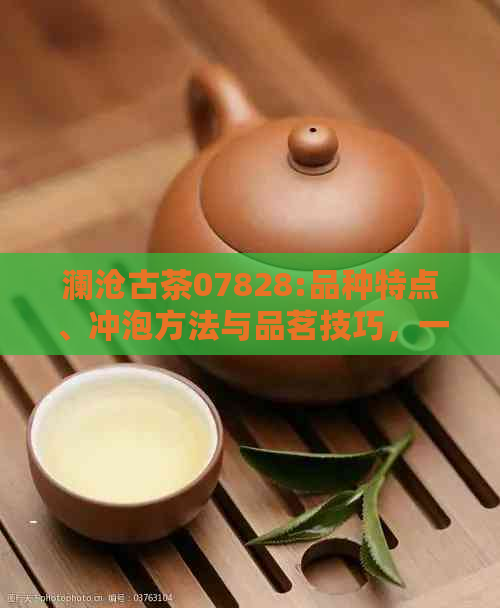 澜沧古茶07828:品种特点、冲泡方法与品茗技巧，一篇全面的解读