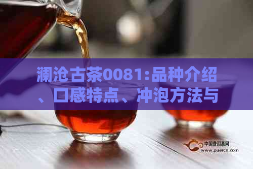 澜沧古茶0081:品种介绍、口感特点、冲泡方法与品鉴技巧，一文全解析