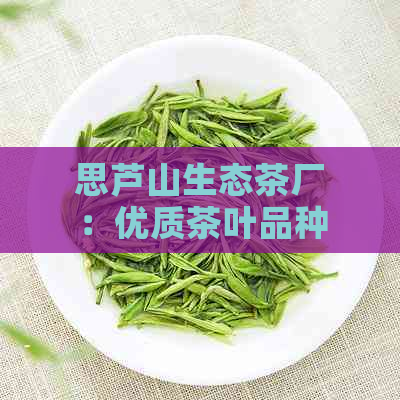 思芦山生态茶厂：优质茶叶品种、生产工艺与健价值的全面解析