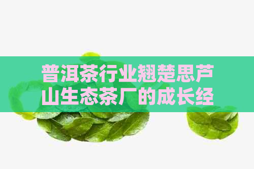 普洱茶行业翘楚思芦山生态茶厂的成长经历与创新历程