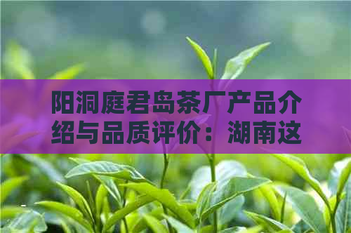 阳洞庭君岛茶厂产品介绍与品质评价：湖南这家茶厂在哪里？