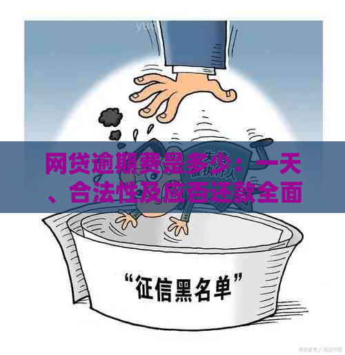 网贷逾期费是多少：一天、合法性及应否还款全面解析