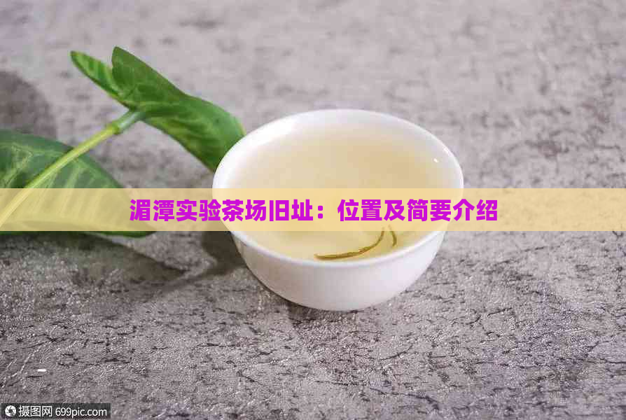 湄潭实验茶场旧址：位置及简要介绍