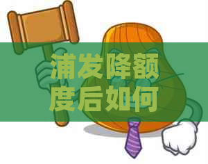 浦发降额度后如何分期还款？支持哪些分期方式？用户需要注意哪些事项？