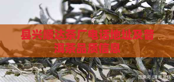 县兴顺达茶厂电话地址及普洱茶品质信息