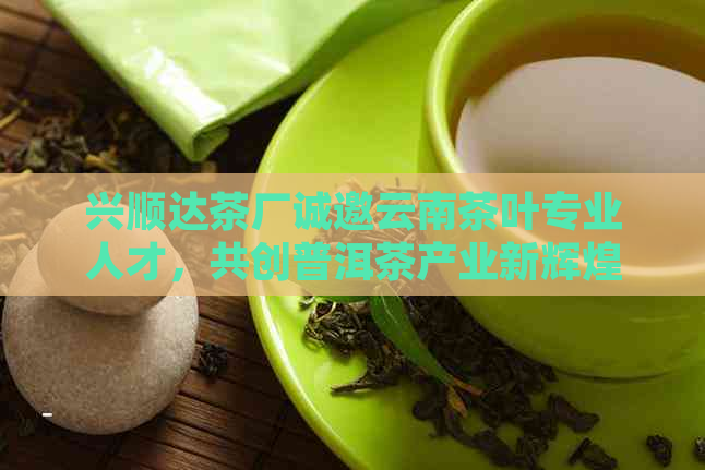 兴顺达茶厂诚邀云南茶叶专业人才，共创普洱茶产业新辉煌