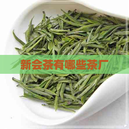 新会茶有哪些茶厂