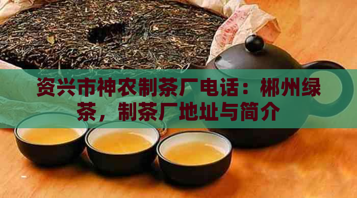 资兴市神农制茶厂电话：郴州绿茶，制茶厂地址与简介