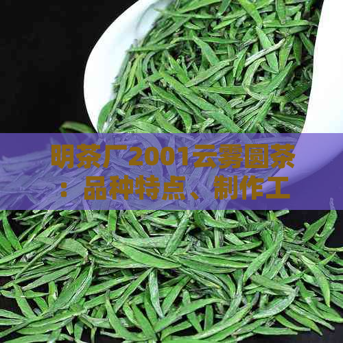 明茶厂2001云雾圆茶：品种特点、制作工艺与品饮体验详解