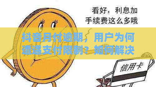 抖音月付逾期，用户为何遭遇支付限制？如何解决这个问题？