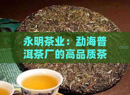 永明茶业：勐海普洱茶厂的高品质茶叶