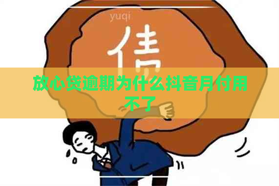 放心贷逾期为什么抖音月付用不了