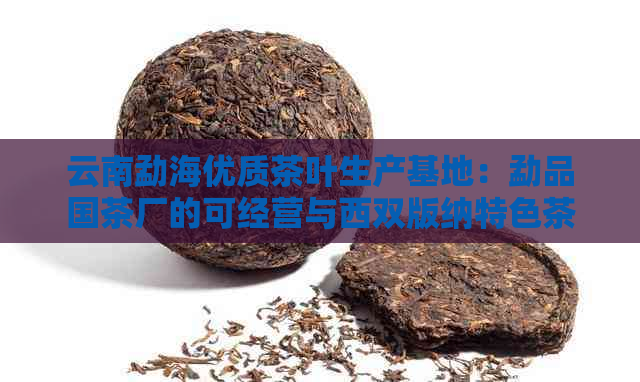 云南勐海优质茶叶生产基地：勐品国茶厂的可经营与西双版纳特色茶叶创新